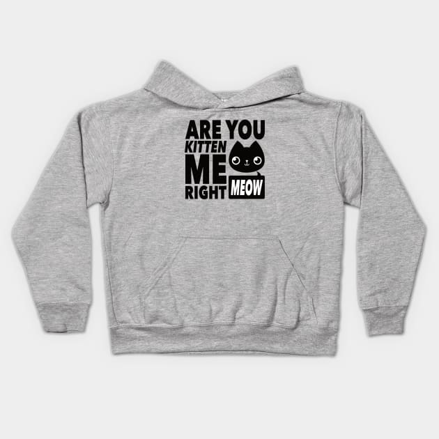 Are You Kitten ME Kids Hoodie by MontyMolly